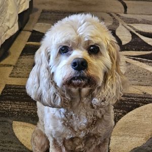 Make an offer!! All must go!!